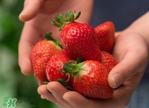 小孩咳嗽可以吃草莓嗎？小孩發(fā)燒可以吃草莓好？