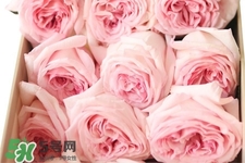 鮮花怎么養(yǎng)？鮮花怎么養(yǎng)放的比較久？