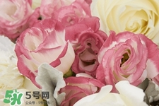 鮮花怎么養(yǎng)？鮮花怎么養(yǎng)放的比較久？