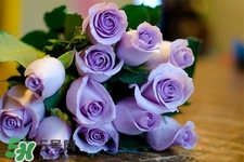 鮮花怎么養(yǎng)？鮮花怎么養(yǎng)放的比較久？