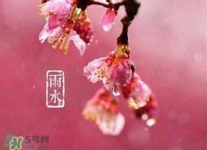 雨水吃什么？雨水節(jié)氣飲食禁忌？