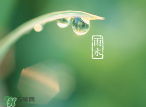 雨水吃什么？雨水節(jié)氣飲食禁忌？