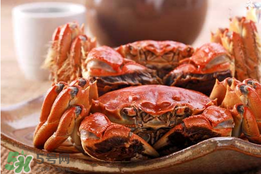 春天的螃蟹能吃嗎？開春后大閘蟹能吃嗎？