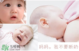 春天可以斷奶嗎？春天幾月份斷奶比較好？