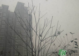 霧霾天開空調(diào)會不會污染室內(nèi)空氣？