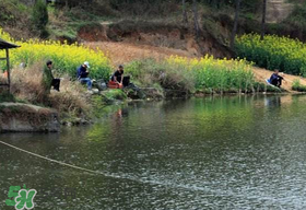 春天釣魚用什么餌料？春天釣魚用腥還是香？