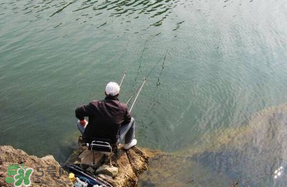春天釣魚用什么餌料？春天釣魚用腥還是香？
