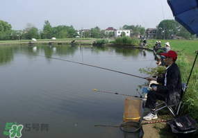 春天釣魚用什么餌料？春天釣魚用腥還是香？