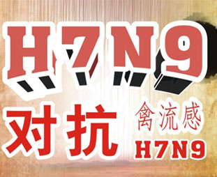 禽流感期間吃什么？預(yù)防禽流感吃什么好？