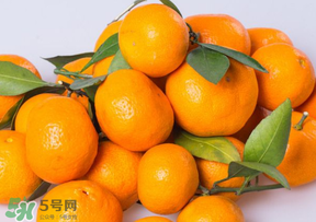 桔子批發(fā)多少錢(qián)一斤？桔子多少錢(qián)一斤？