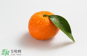 桔子批發(fā)多少錢(qián)一斤？桔子多少錢(qián)一斤？