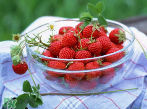 草莓多少錢一斤？草莓多少錢一斤2017？