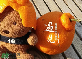 丑橘少錢一斤？丑橘一斤幾個？