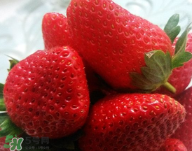奶油草莓多少錢一斤？奶油草莓價(jià)格