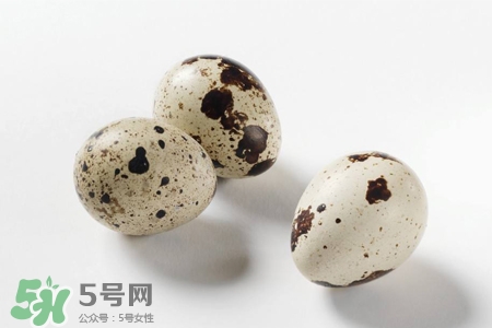 禽流感可以吃鵪鶉蛋嗎？禽流感期間能吃鵪鶉蛋嗎？