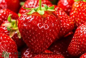 新鮮草莓怎么保鮮？新鮮草莓如何存放更久？