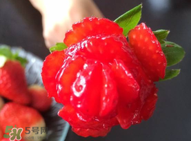 草莓花束怎么做？草莓花束怎么扎起來？