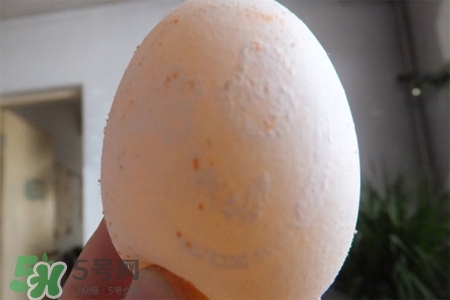 禽流感可以吃鴿子蛋嗎？禽流感期間能吃鴿子蛋嗎？