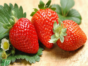 紅顏草莓為什么那么貴？紅顏草莓多少錢一斤？