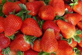 紅顏草莓為什么那么貴？紅顏草莓多少錢一斤？