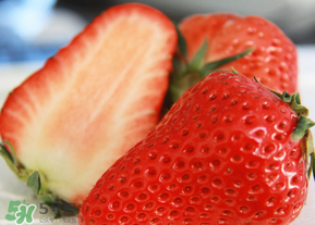 九九草莓多少錢一斤？99草莓價格是多少？