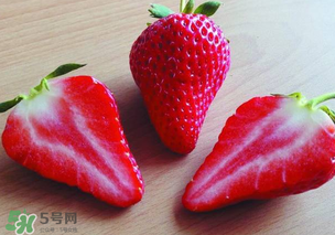 九九草莓多少錢一斤？99草莓價格是多少？