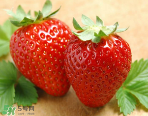 九九草莓好嗎？九九草莓和牛奶草莓區(qū)別 