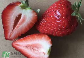 草莓空心能吃嗎？草莓空心怎么回事？