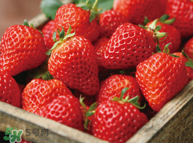 草莓空心能吃嗎？草莓空心怎么回事？