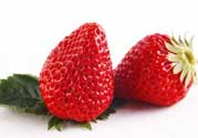紅顏草莓為什么那么貴？紅顏草莓多少錢一斤？