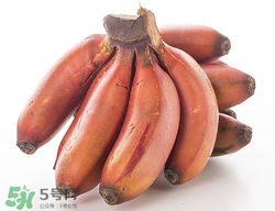 紅香蕉多少錢一斤？南洋紅香蕉多少錢一斤？