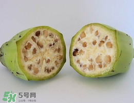 野香蕉可以吃嗎？野香蕉怎么吃？