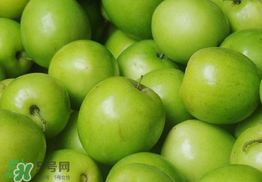 青棗是熱性還是涼性？青棗是涼性的嗎？