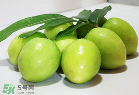 青棗什么時候上市？青棗什么時候成熟？