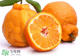 丑橘是轉(zhuǎn)基因嗎？丑八怪是轉(zhuǎn)基因的嗎？