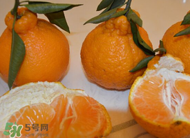 丑八怪水果上火嗎？丑八怪水果吃了降火嗎？