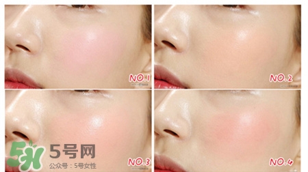 愛(ài)茉莉氣墊腮紅色號(hào) 愛(ài)茉莉氣墊腮紅試色