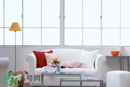 消毒液能殺死螨蟲嗎？84消毒液能殺死螨蟲嗎？