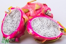 3月份有火龍果吃嗎？三月份可以吃火龍果嗎？