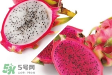 3月份有火龍果吃嗎？三月份可以吃火龍果嗎？