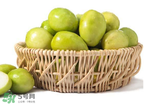 空腹吃青棗好嗎？青棗可以空腹吃嗎？