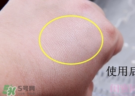 canmake花瓣高光怎么用？canmake花瓣雕刻高光使用方法