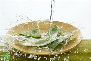 蘆薈面膜的制作方法 蘆薈和什么一起做面膜比較好 蘆薈面膜的制作方法 蘆薈和什么一起做面膜比較好