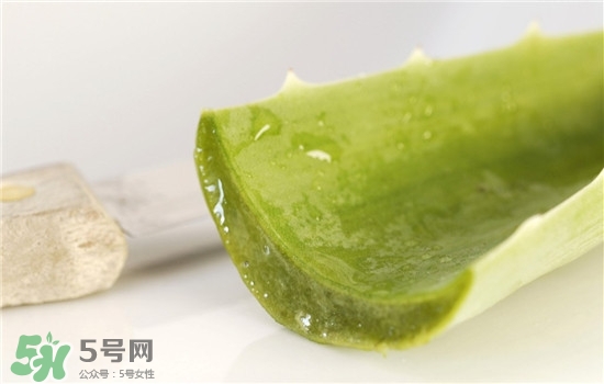 蘆薈面膜的制作方法 蘆薈和什么一起做面膜比較好 蘆薈面膜的制作方法 蘆薈和什么一起做面膜比較好