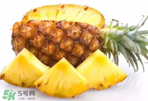 菠蘿批發(fā)多少錢一斤？菠蘿批發(fā)價格