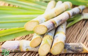 甘蔗要洗嗎？吃甘蔗時(shí)要用鹽水洗嗎？