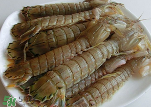 皮皮蝦多少錢一斤？皮皮蝦多少錢一斤2017？