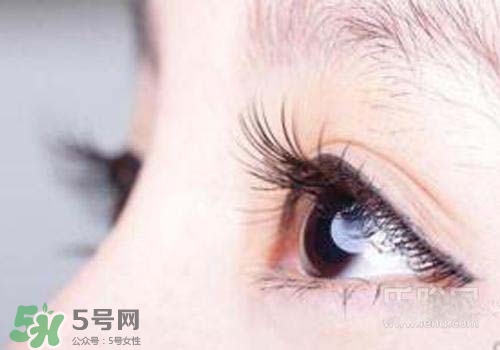 孕睫毛是永久的嗎？孕睫毛可以保持多久？