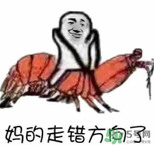 說人皮皮蝦是什么意思？女生叫男生皮皮蝦什么意思？