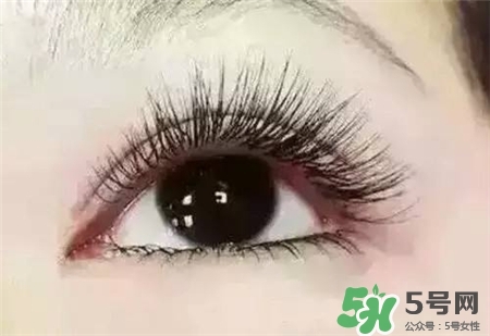 孕睫術(shù)是什么？孕睫術(shù)有用嗎？